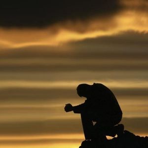 Meet your Posher, Stephen